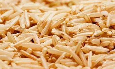平衡膳食护健康 食物多样为主打的谷物餐饮指南