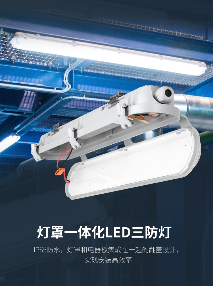 集保:食品工厂对照明设施有哪些要求